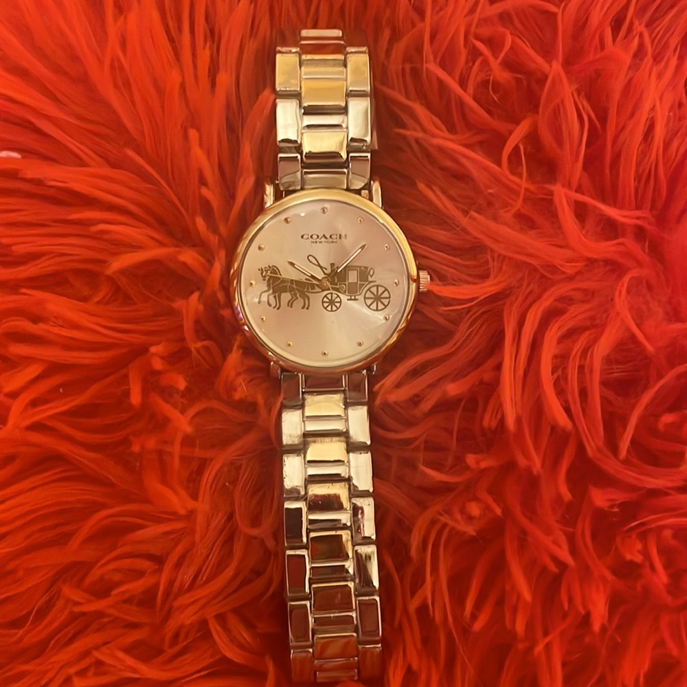 Beautiful ladies watch